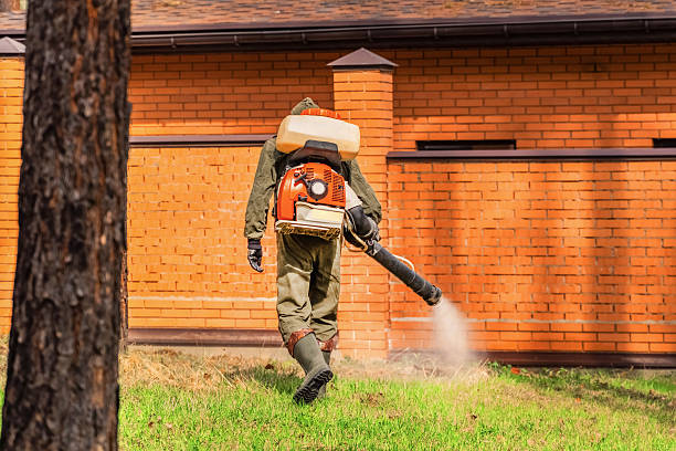 Bed Bug Clearance Verification and Documentation in Mount Hope